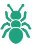 backant icon